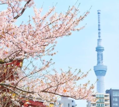 Tokyo2